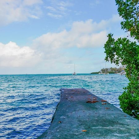 Boutique Villa On The Rocks With Stunning Sea Views, Infinity Pool & Private Sea Trou d'Eau Douce Eksteriør billede