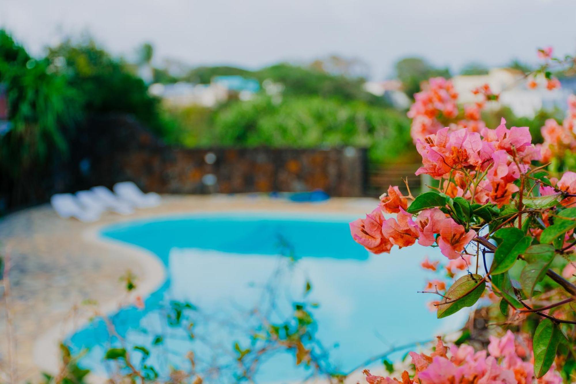 Boutique Villa On The Rocks With Stunning Sea Views, Infinity Pool & Private Sea Trou d'Eau Douce Eksteriør billede